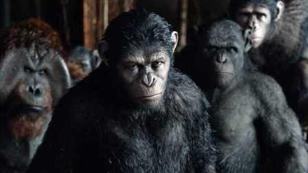 猩猿崛起在线观看,智勇逆袭，重铸家园传奇  第1张