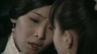 在线观看黑狐,暗影特工的隐秘使命  第1张